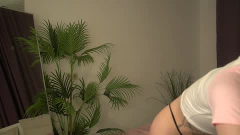 Snapshot of selinsselin chatting on November 3, 5:42 am sweetie Selin 3 online show from November 3, 5:42 am