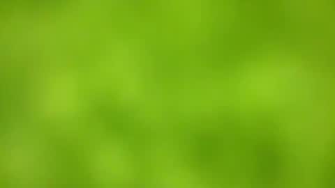 Snapshot of sens3439 chatting on November 24, 8:36 am sens3439 online show from November 24, 8:36 am