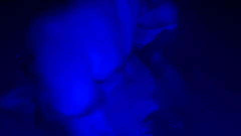 sensualsilhoutte online show from July 11, 4:04 am