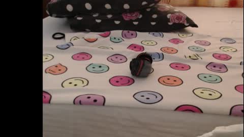 Anne online show from October 25, 5:04 am