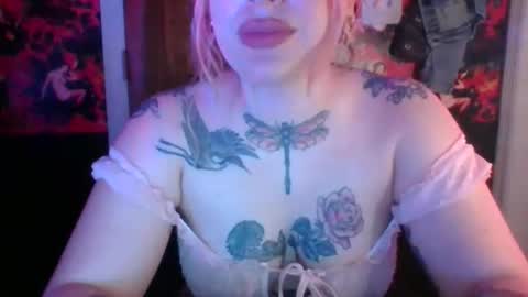 serencigarra online show from November 14, 5:28 am