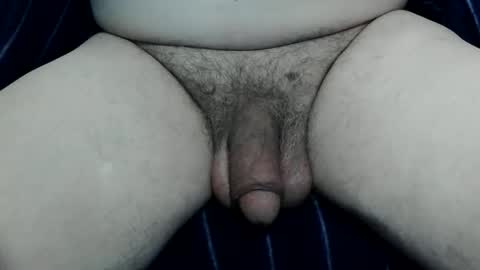 serviceforu here just for fun online show from May 31, 9:49 pm