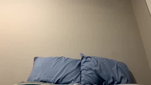 Snapshot of sethbear8963 chatting on December 31, 1:47 am SethBear online show from December 31, 1:47 am