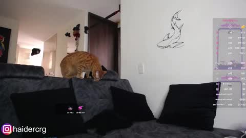 setth online show from February 7, 6:00 pm