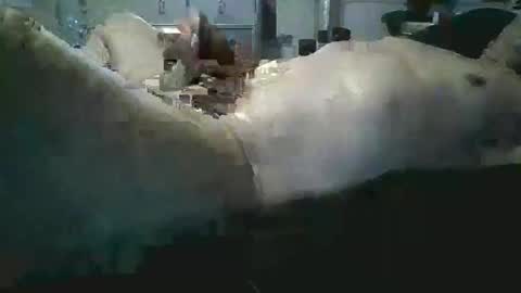 sexboy1437 online show from November 24, 10:15 am