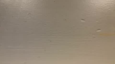 Snapshot of sexislitpuss69 chatting on January 1, 11:40 pm sexislitpuss69 online show from January 1, 11:40 pm