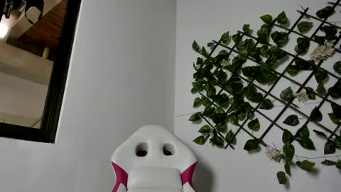 SARA    online show from February 8, 8:10 pm