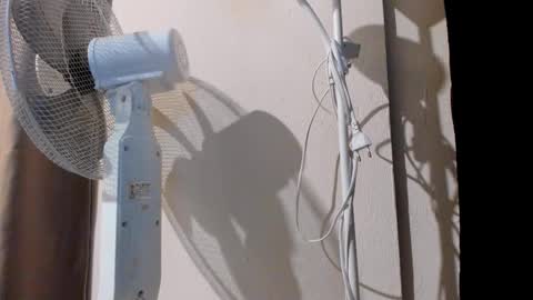 Alice online show from September 20, 11:06 pm