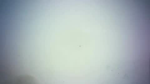 sweetjoy9 online show from March 25, 2:34 pm