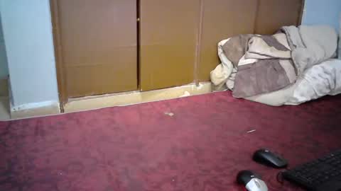 sexy_lunah online show from December 19, 2:57 pm