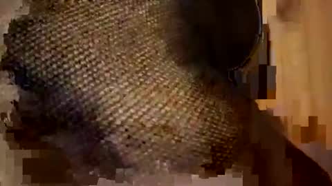 Snapshot of sexycplluv chatting on November 9, 11:25 pm Forever Erotica online show from November 9, 11:25 pm