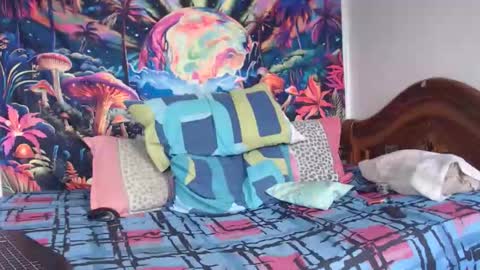 Mike online show from January 14, 4:56 pm