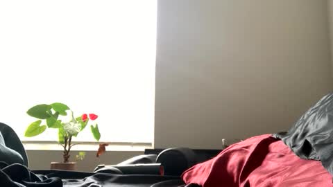 sexyhornyman1993 online show from June 2, 5:59 pm