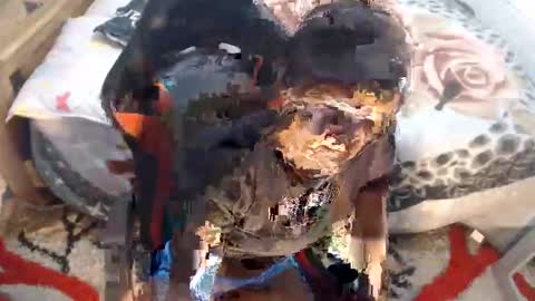 sexyjustin202 online show from November 12, 2:45 am