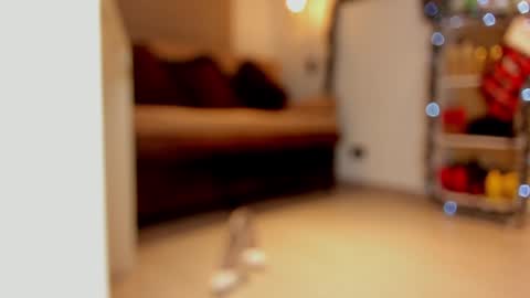 katalina larson online show from December 29, 6:03 am