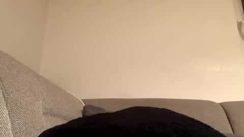 sexylion20 online show from October 3, 9:23 pm