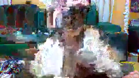 sexylo52 online show from May 13, 11:07 am