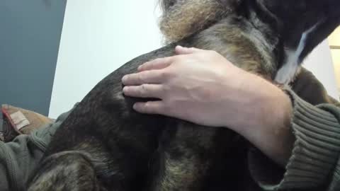 Snapshot of sexymountainman420 chatting on October 19, 7:09 am Sexymountainman420 online show from October 19, 7:09 am