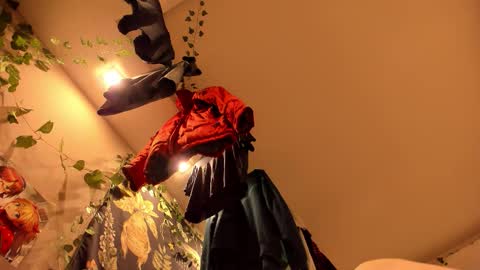 shadow_raffi online show from November 7, 3:50 am