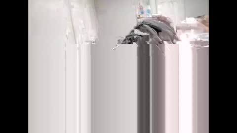 shagnasty95 online show from April 9, 1:27 am