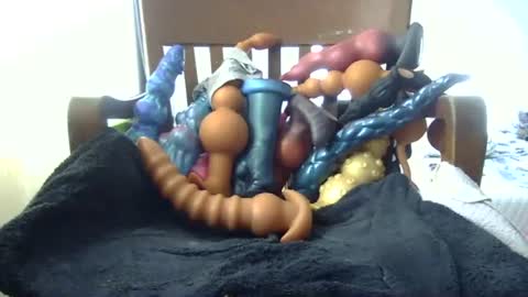 shakespeareisahomie online show from November 16, 3:06 pm