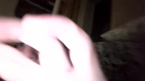 Shamilka online show from September 17, 7:59 pm