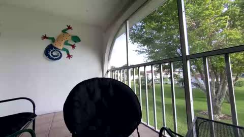 Shannon Spears online show from January 5, 8:52 pm