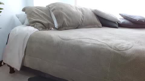 you shannon online show from September 15, 5:35 pm