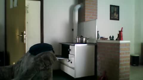 excelo21 online show from December 22, 9:44 am