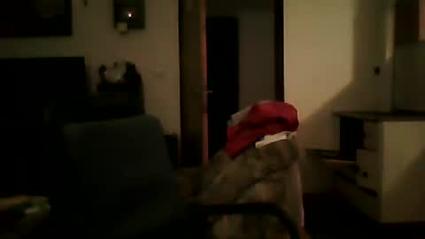 excelo21 online show from January 25, 6:02 pm