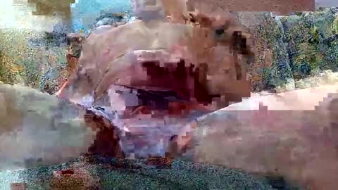 excelo21 online show from October 26, 7:14 am