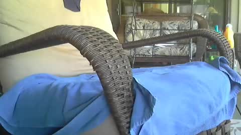 Snapshot of sharkey644 chatting on August 4, 3:25 pm Sharkey644 online show from August 4, 3:25 pm