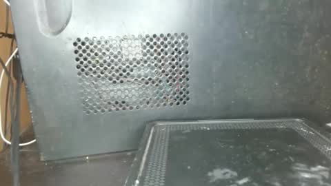 Snapshot of sharlot03 chatting on February 6, 1:21 pm sharlot03 online show from February 6, 1:21 pm