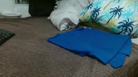 Snapshot of sharlot03 chatting on February 10, 10:53 am sharlot03 online show from February 10, 10:53 am