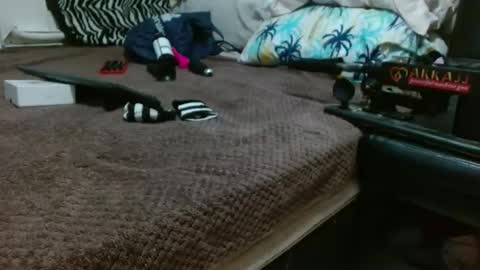 Snapshot of sharlot03 chatting on February 12, 10:56 am sharlot03 online show from February 12, 10:56 am