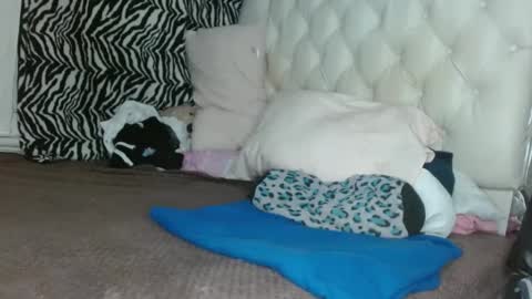 Snapshot of sharlot03 chatting on March 11, 12:28 pm sharlot03 online show from March 11, 12:28 pm