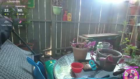 sheilyn_smith online show from June 2, 2:02 am