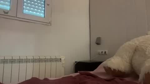 shekitty online show from June 7, 5:44 am
