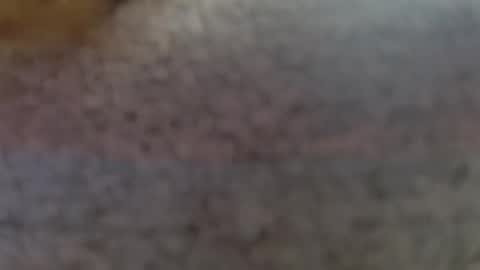 Erika online show from February 25, 9:24 pm