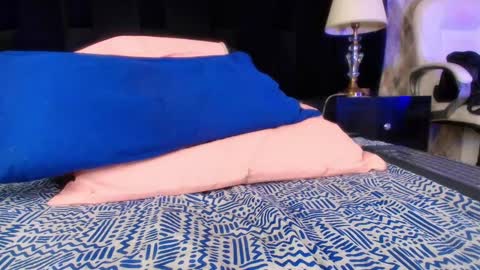 Shelsy online show from January 12, 3:03 pm