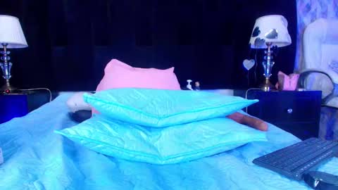 Shelsy online show from February 18, 2:59 pm