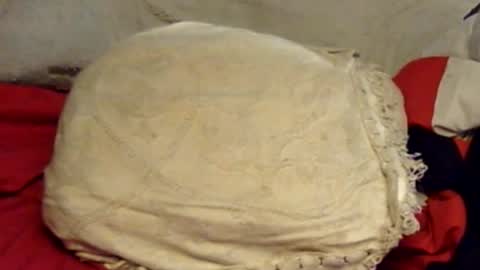 sherbearxrayghost online show from June 15, 1:57 pm