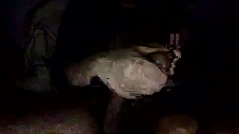 shoot3s__ online show from December 14, 2:12 am