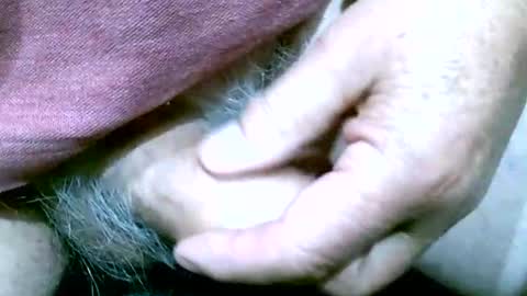 shootertog online show from October 13, 10:48 am