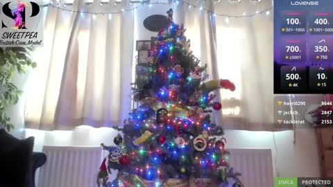 short sweetpea online show from December 14, 1:16 pm