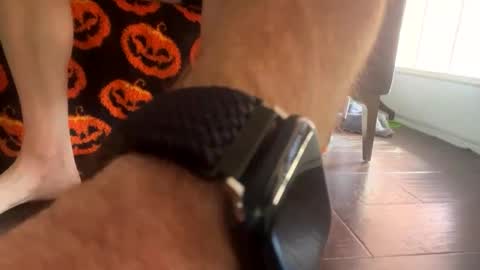 shortshortsman online show from October 8, 5:10 pm