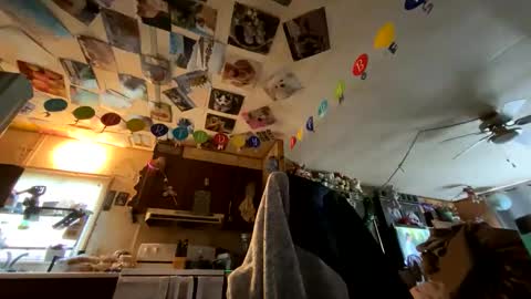 shorty920505 online show from May 24, 10:37 pm