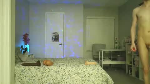 shotaroo online show from November 22, 9:52 am