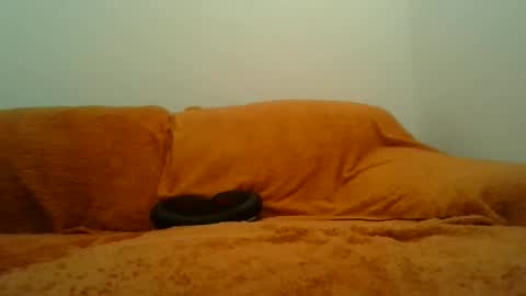 showherenow online show from March 8, 8:18 am