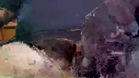 showsme online show from September 17, 9:22 am